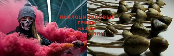 бутират Майский