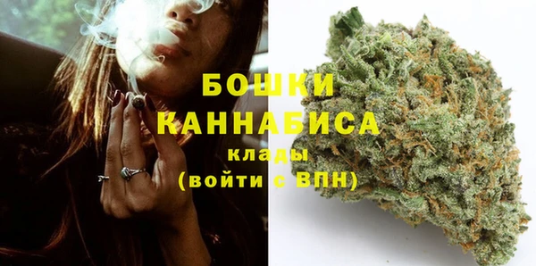 гидра Снежинск