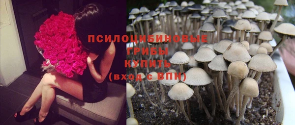 бутират Майский